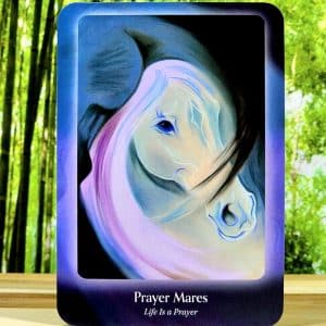 Prayer Mares