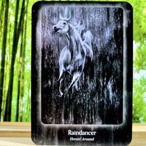 Raindancer