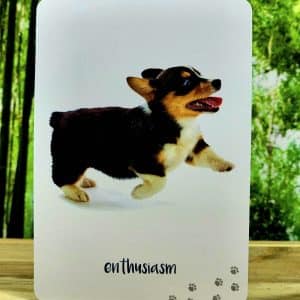 Dog Wisdom by Tanya Graham - Enthusiasm