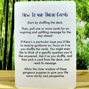 Dog Wisdom by Tanya Graham - How to Use these Cards