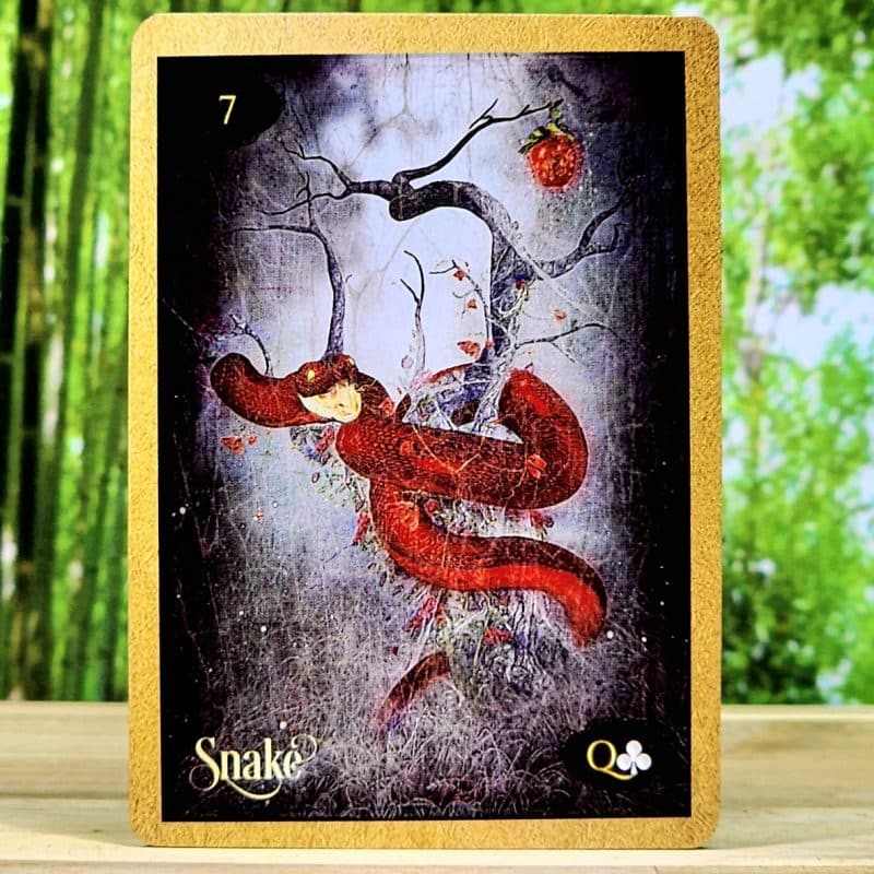 Lenormand Of Enchantment by Yasmeen Westwood - Snake