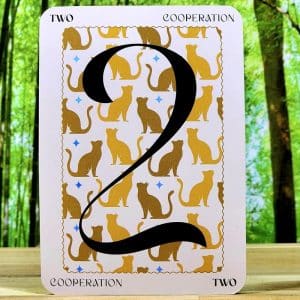 Numerology Oracle by Rosemaree Templeton - Two - Cooperation